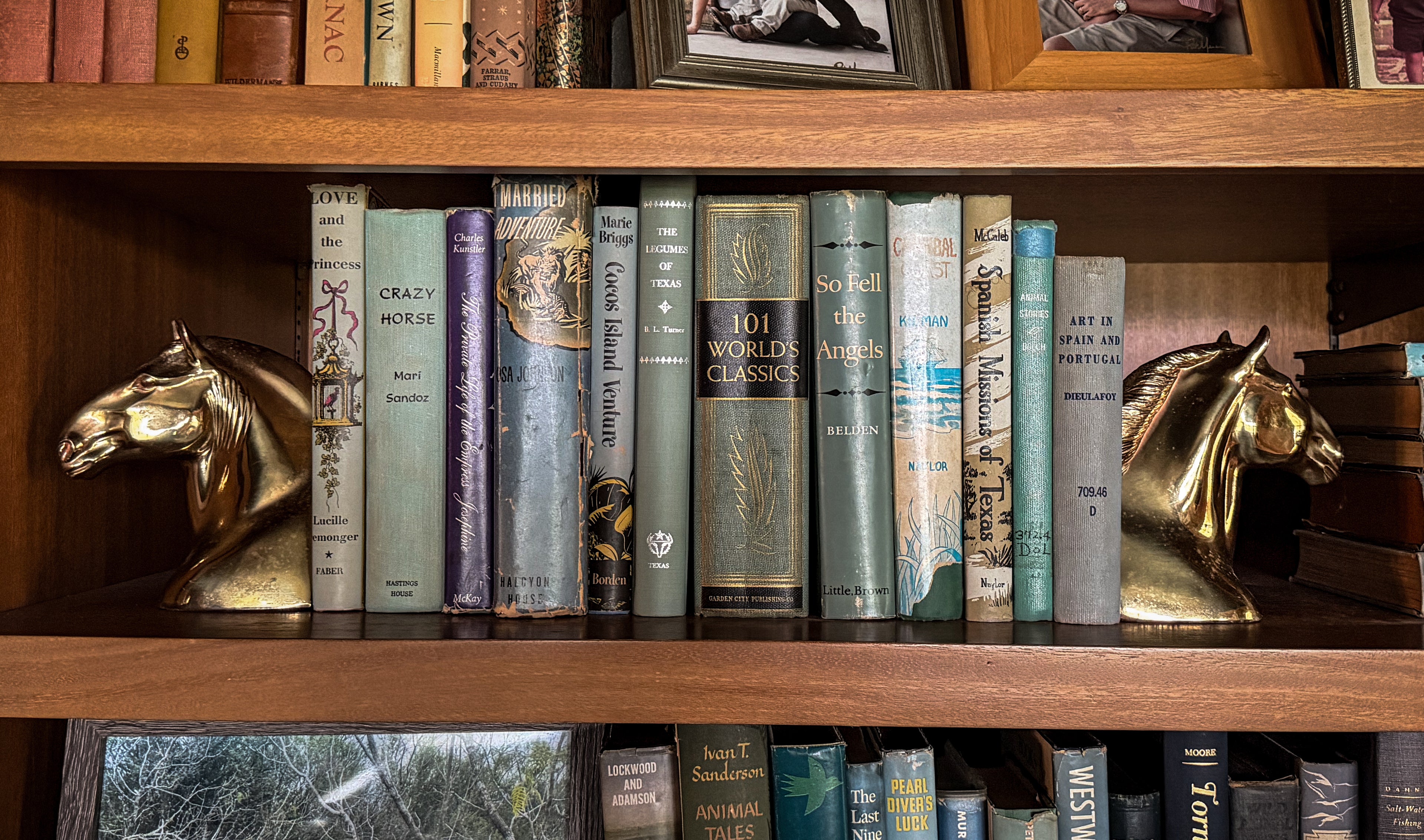 Brass Horse Head Bookends