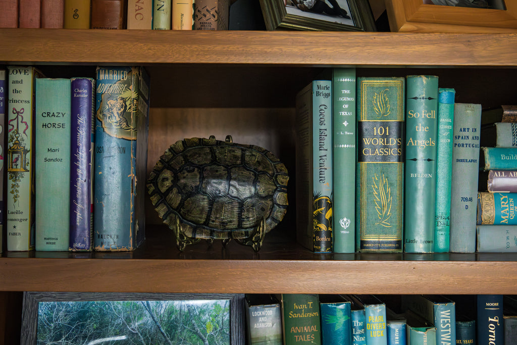 Turtle Shells